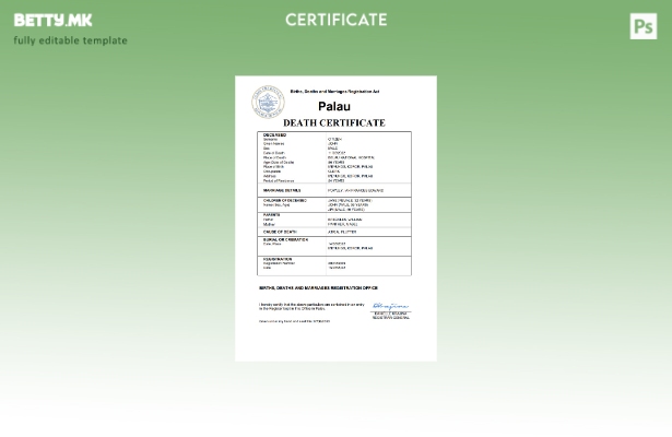 модерен стил Палау од витално значење за умрениот шаблон Word и PDF шаблон